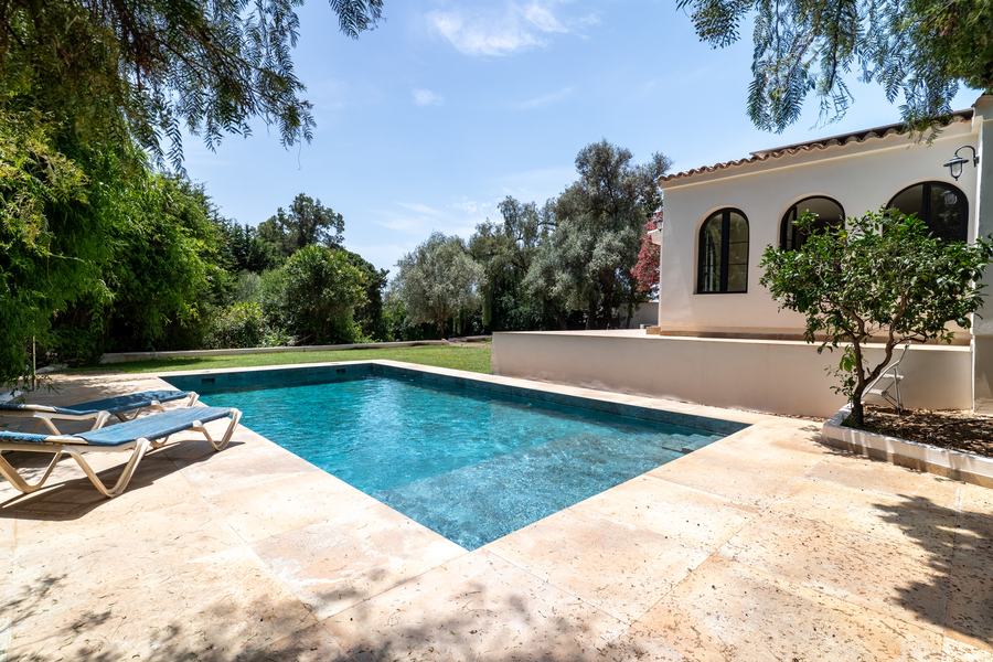 Pool terrace with sun loungers
